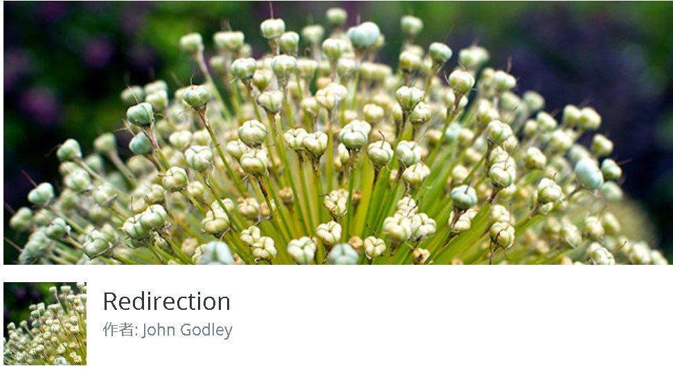 【WordPress】特定のページが別ページにリダイレクト？してしまうときに見るべきポイント（Redirection？）