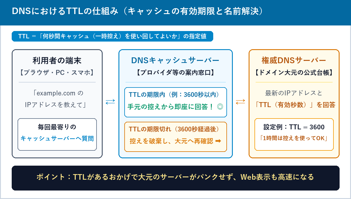 利用者の端末、DNSキャッシュサーバー、権威DNSサーバーの間でTTLの秒数に応じてキャッシュ回答と再問い合わせが行われる仕組みの図解