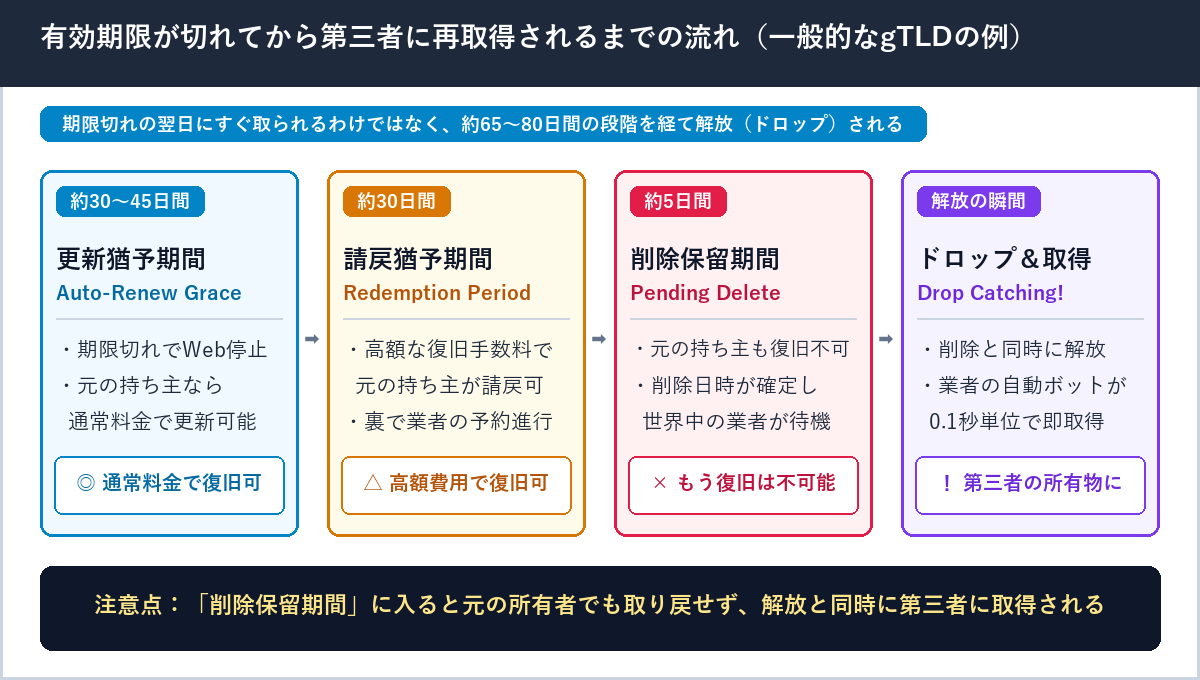 更新猶予期間(約30〜45日)、請戻猶予期間(約30日)、削除保留期間(約5日)を経てドメインが解放・再取得されるまでの流れの図解