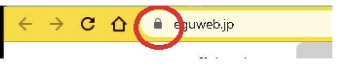 SSL（Secure Socket Layer）とは？プロトコルの情報暗号化技術について